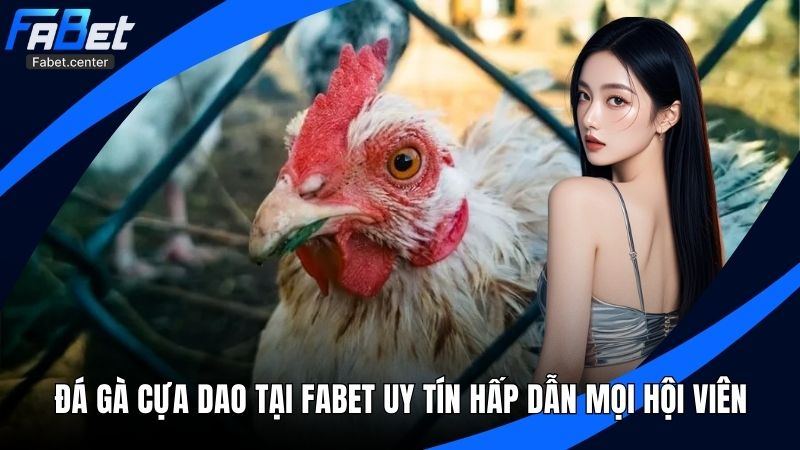 Đá Gà Cựa Dao Tại Fabet