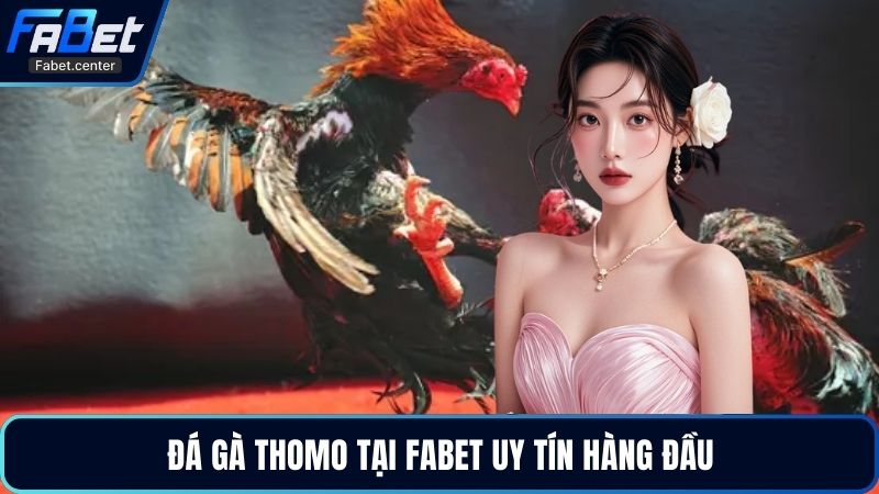 Đá gà Thomo tại Fabet uy tín hàng đầu