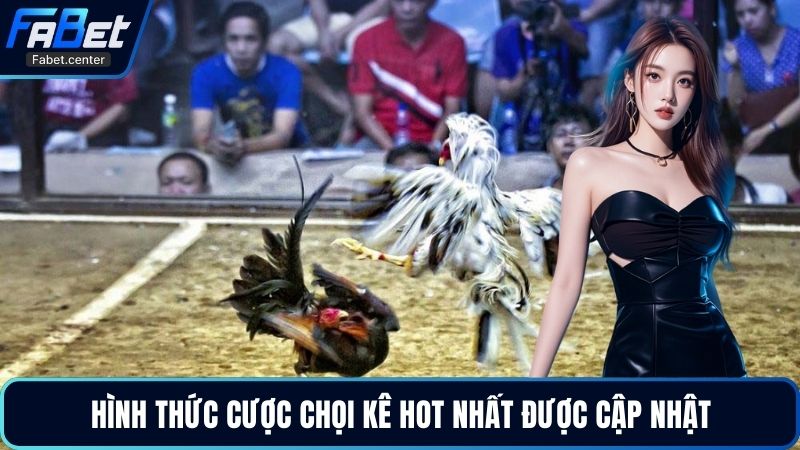 Hình thức cược chọi kê hot nhất được cập nhật